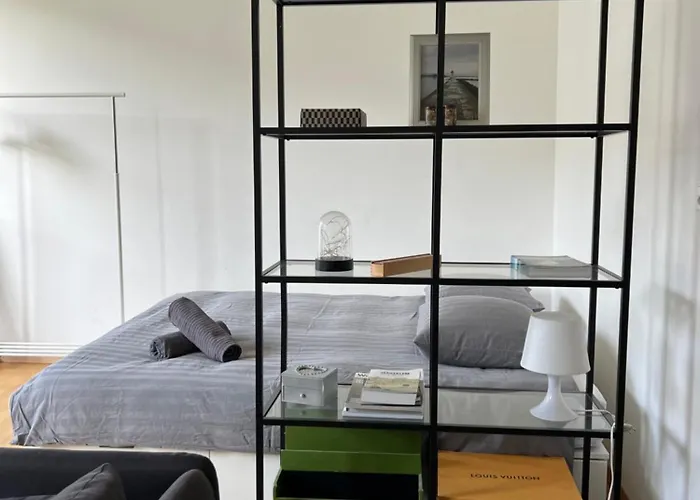 Luxury Apartment In Central Geneva